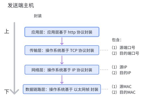 網絡通信基石 核心設備、關鍵技術及技術服務全景解析